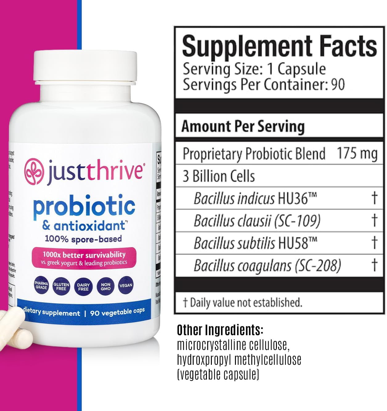 Probiotic & Antioxidant Supplement - 100% Spore-Based Digestive and Immune Support - Gluten Free, 90 Caps