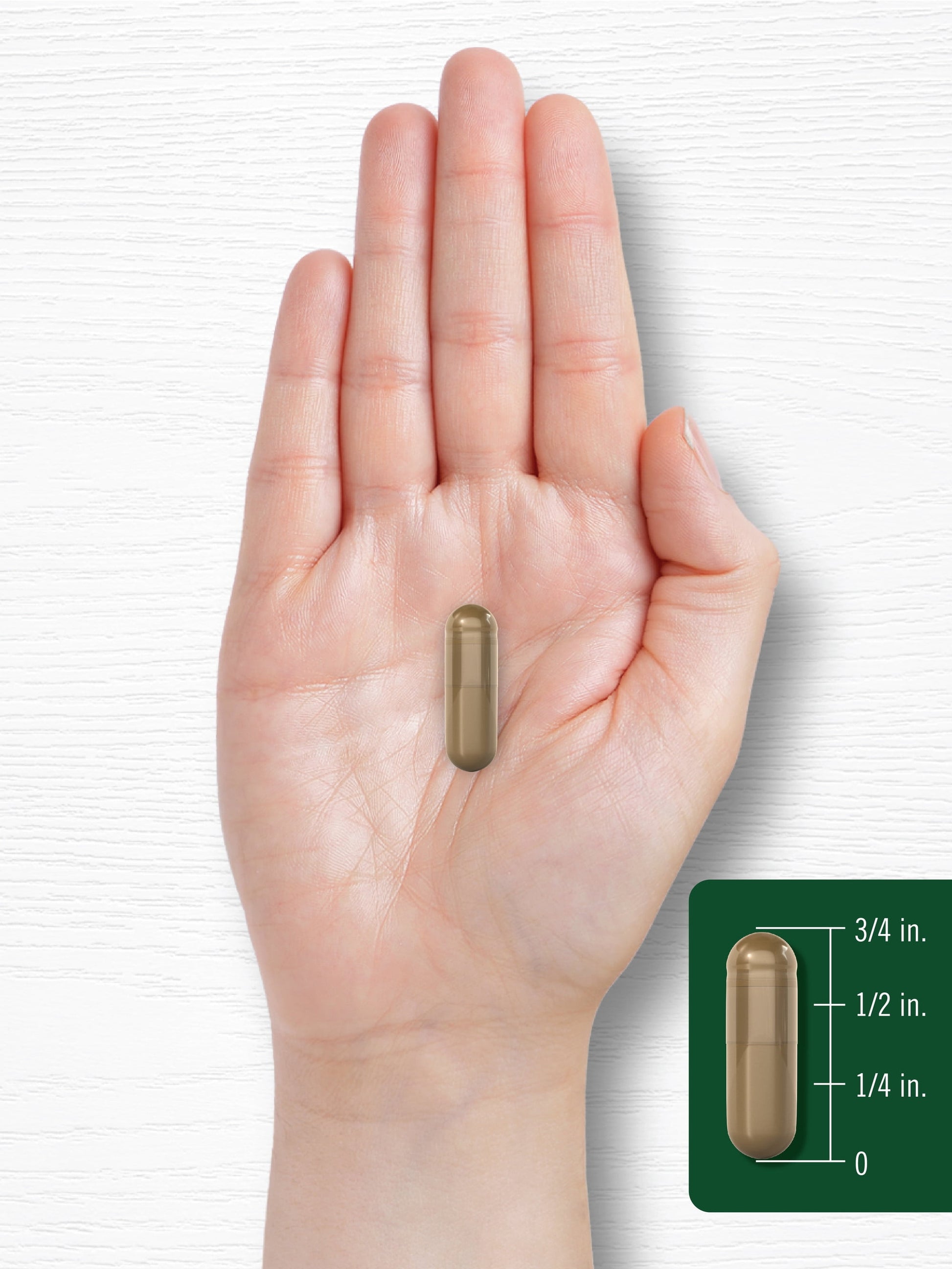 Cascara Sagrada 450 Mg | 250 Capsules | Herbal Supplement | by
