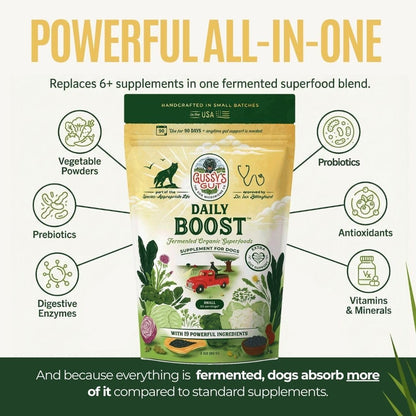 Daily Boost- Fermented Organic Superfood Reset & Reboot Dog Gut Health- Human Grade Pre & Probiotic Digestive Supplement- USA Made Small Batch 19 Ingredient Formula- Reset Phase (3 Oz)