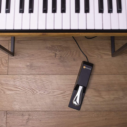SP-2 Universal Sustain Pedal with Piano Style Action for MIDI Keyboards, Digital Pianos and More