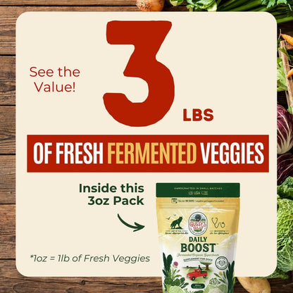 Daily Boost- Fermented Organic Superfood Reset & Reboot Dog Gut Health- Human Grade Pre & Probiotic Digestive Supplement- USA Made Small Batch 19 Ingredient Formula- Reset Phase (3 Oz)