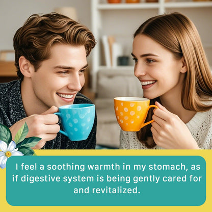 Natural Ulcer Healing Tea - 20 Pcs for Healthy Digestion & Stomach Relief