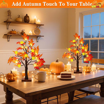 Fall Decor 2 Pack 18 Inch Prelit Fall Maple Tree Fall Decorations for Home with 48 Leds Timer Battery Operated Pumpkin Lights Lighted Thanksgiving Halloween Decor Table Mantle Indoor Outdoor