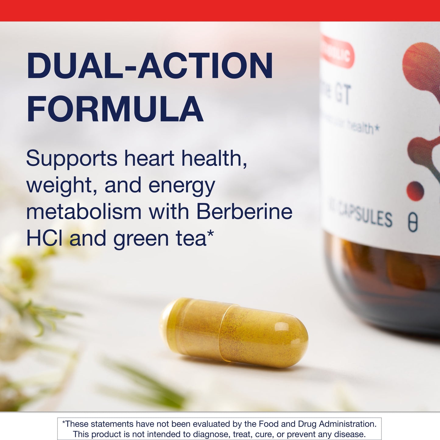 Berberine GT - Supports Cardiovascular Health and Healthy Carbohydrate Metabolism* - 60 Count