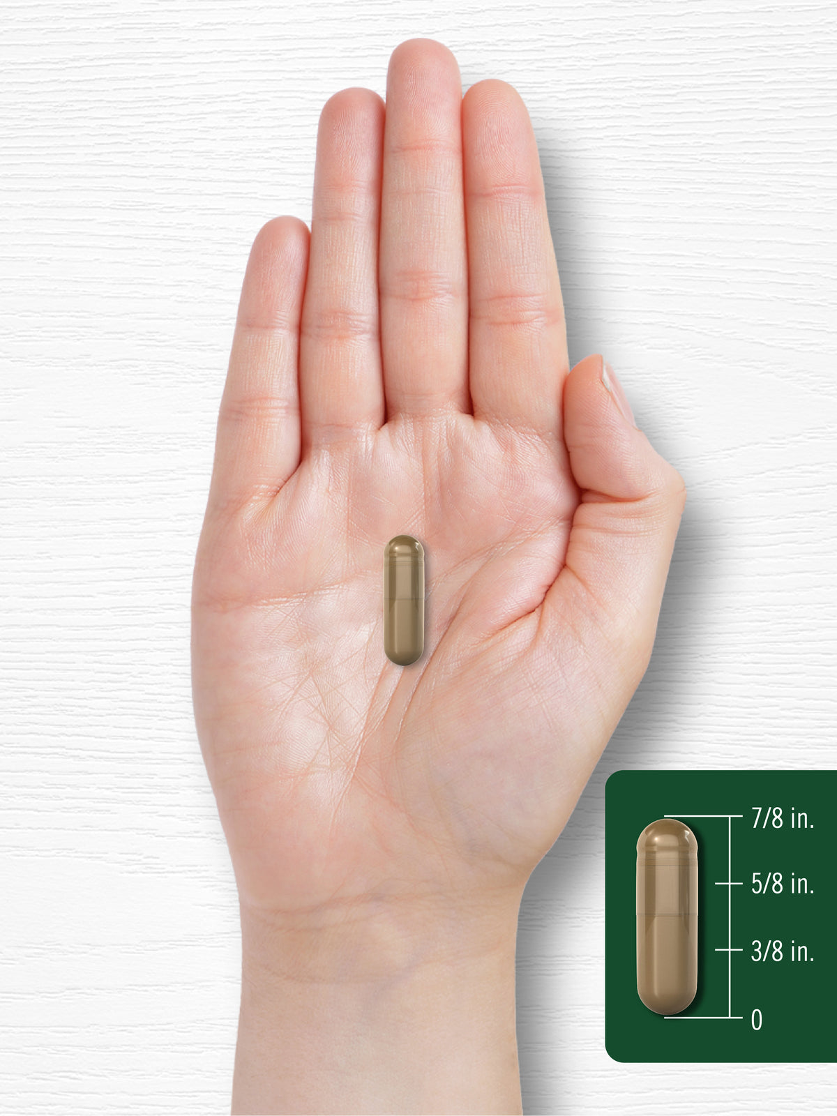 Astragalus Capsules 4500Mg | 150 Count | Vegetarian, Non-Gmo | by Carlyle