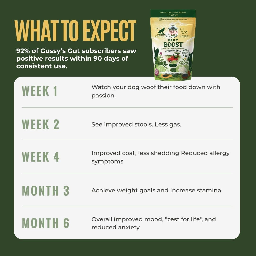 Daily Boost- Fermented Organic Superfood Reset & Reboot Dog Gut Health- Human Grade Pre & Probiotic Digestive Supplement- USA Made Small Batch 19 Ingredient Formula- Reset Phase (3 Oz)