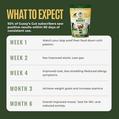 Daily Boost- Fermented Organic Superfood Reset & Reboot Dog Gut Health- Human Grade Pre & Probiotic Digestive Supplement- USA Made Small Batch 19 Ingredient Formula- Reset Phase (3 Oz)