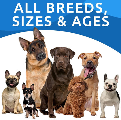 Dog Allergy Relief Soft Chews for Skin Health & Seasonal Allergies - Anti-Itch Supplement W/Omega-3, Quercetin & Bromelain Immune Treats for Dry Skin & Hot Spots - Peanut Butter - 180Ct