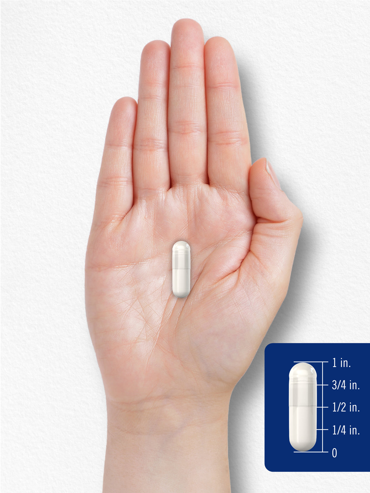 TMG Supplement 1400Mg | 200 Caplets | Trimethylglyci