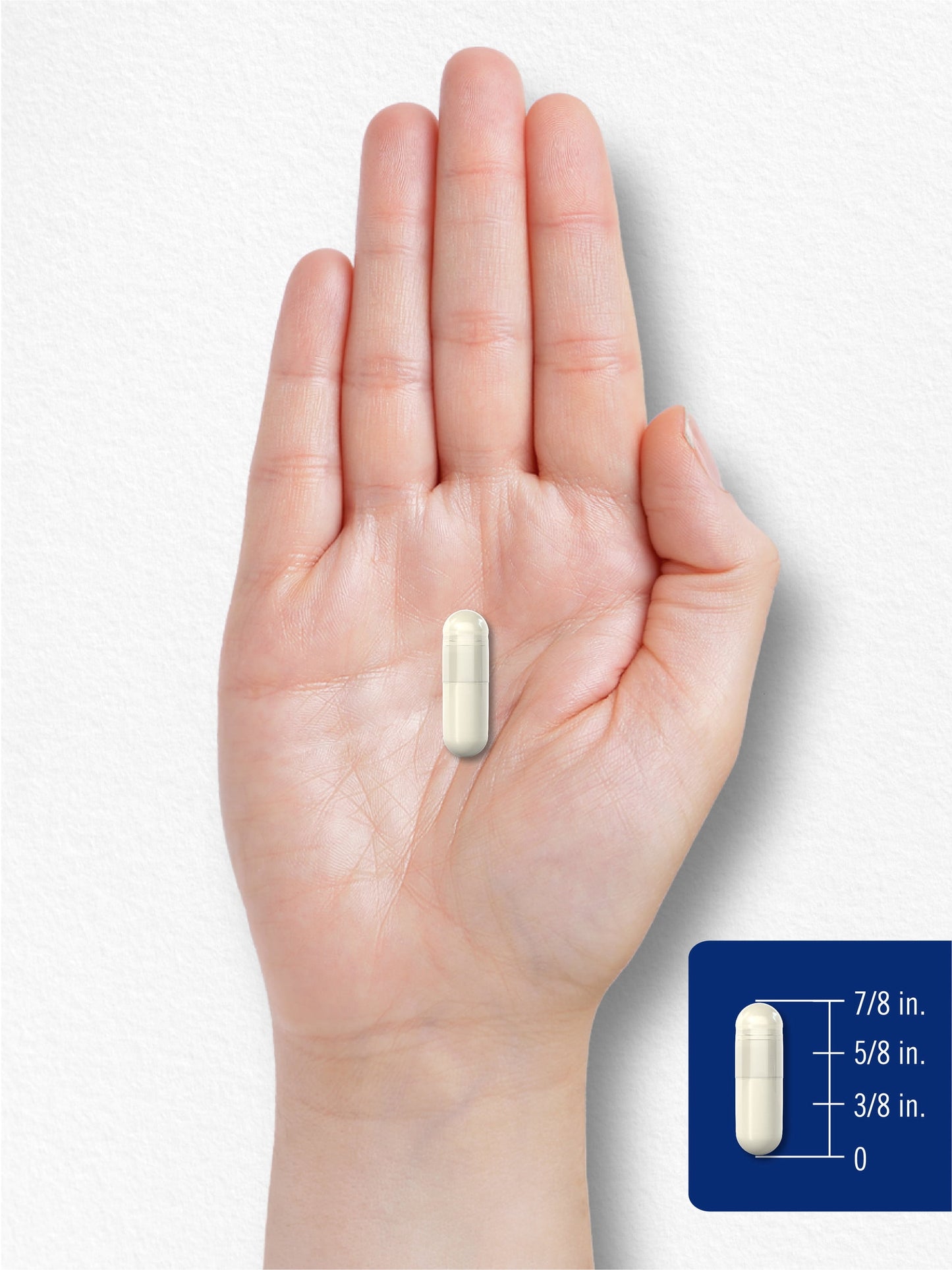 Magnesium Oxide 500Mg | 120 Quick Release Capsules | Non-Gmo and Gluten Free Supplement | by