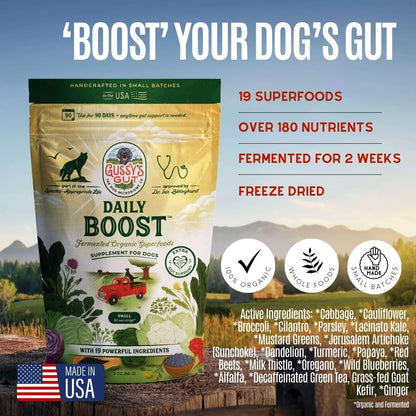 Daily Boost- Fermented Organic Superfood Reset & Reboot Dog Gut Health- Human Grade Pre & Probiotic Digestive Supplement- USA Made Small Batch 19 Ingredient Formula- Reset Phase (3 Oz)