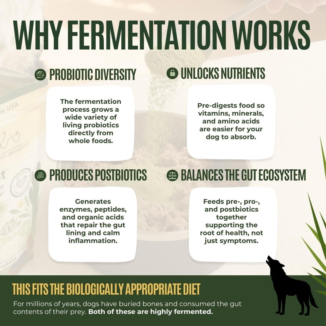Daily Boost- Fermented Organic Superfood Reset & Reboot Dog Gut Health- Human Grade Pre & Probiotic Digestive Supplement- USA Made Small Batch 19 Ingredient Formula- Reset Phase (3 Oz)