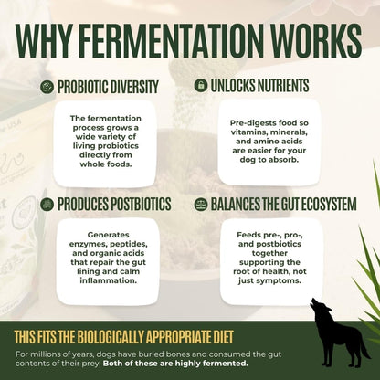 Daily Boost- Fermented Organic Superfood Reset & Reboot Dog Gut Health- Human Grade Pre & Probiotic Digestive Supplement- USA Made Small Batch 19 Ingredient Formula- Reset Phase (3 Oz)