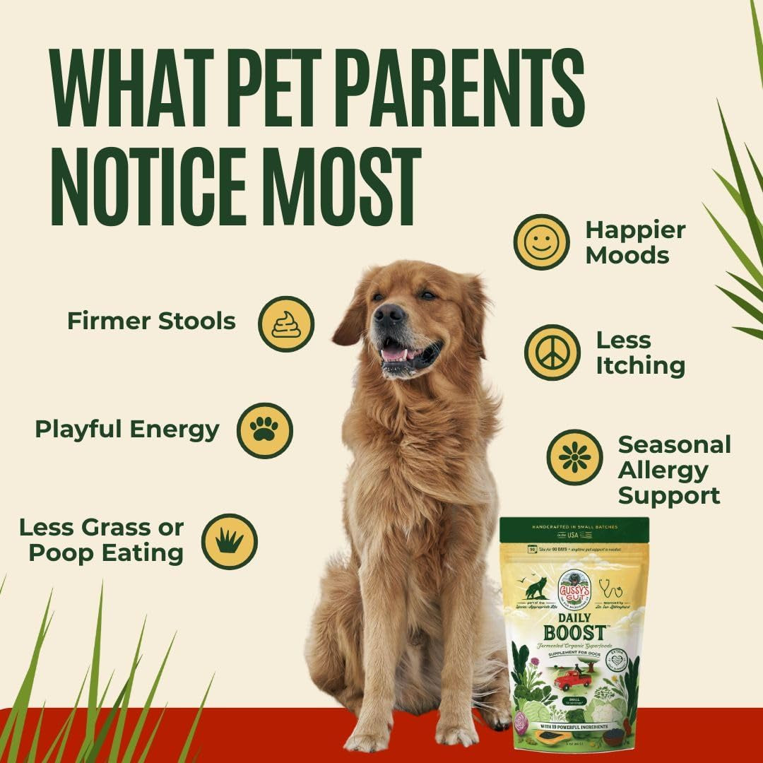 Daily Boost- Fermented Organic Superfood Reset & Reboot Dog Gut Health- Human Grade Pre & Probiotic Digestive Supplement- USA Made Small Batch 19 Ingredient Formula- Reset Phase (3 Oz)