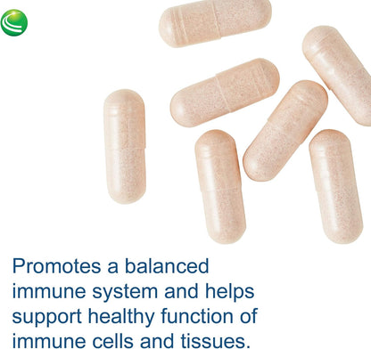 Sterol 117 - Plant Sterols Supplement, Phytosterol Supplement for Men & Women, Health & Wellness Support with Beta Sitosterol - 60 Vegetarian Capsules
