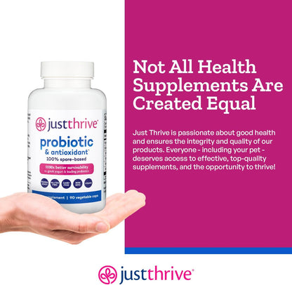 Probiotic & Antioxidant Supplement - 100% Spore-Based Digestive and Immune Support - Gluten Free, 90 Caps
