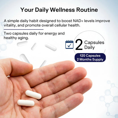 NAD Capsules Resveratrol Liposomal Nicotinamide Riboside Quercetin Vitamin B3 NAD Supplement for Women and Men anti Aging Boost Focus and Energy Cell Regeneration Supplement 120 Capsules