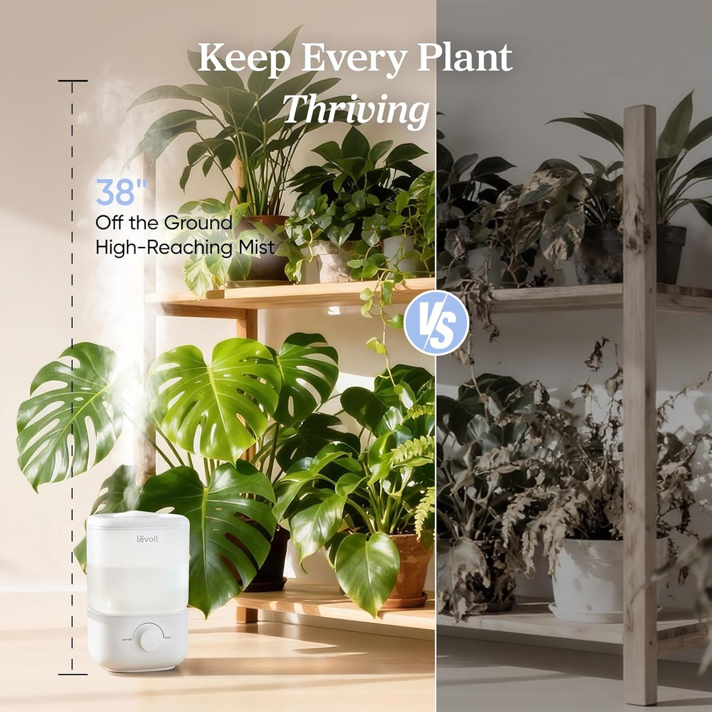 Top Fill Humidifiers for Bedroom, 2.5L Tank for Large Room, Easy to Fill & Clean, 28Db Quiet Cool Mist Air Humidifier for Home Baby Nursery & Plants, Auto Shut-Off for Safety, 25H