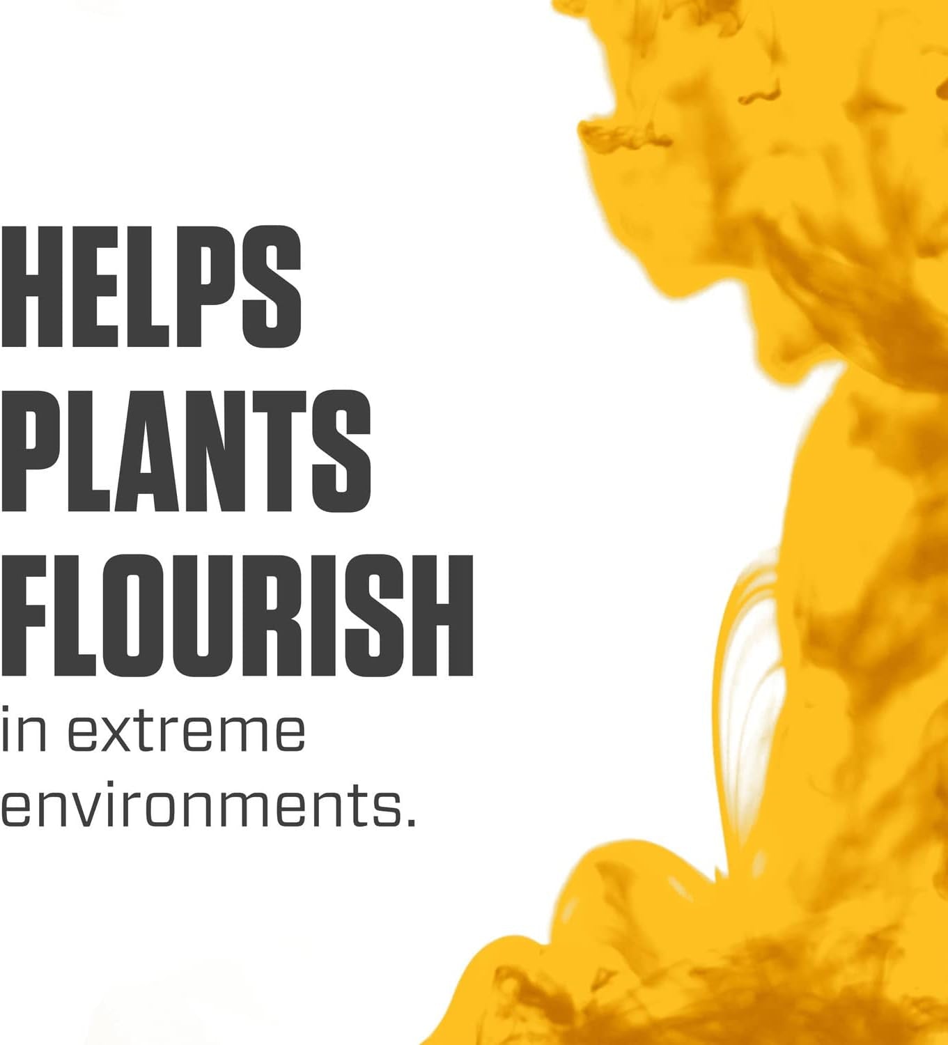 Silica Blast, Plant Supplement, 0-0-0.5, 1 Qt.
