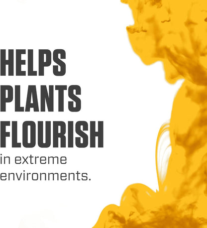 Silica Blast, Plant Supplement, 0-0-0.5, 1 Qt.