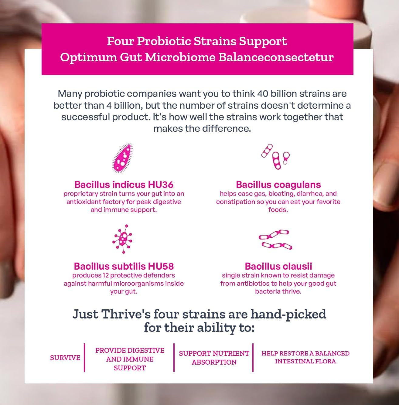 Probiotic & Antioxidant Supplement - 100% Spore-Based Digestive and Immune Support - Gluten Free, 90 Caps