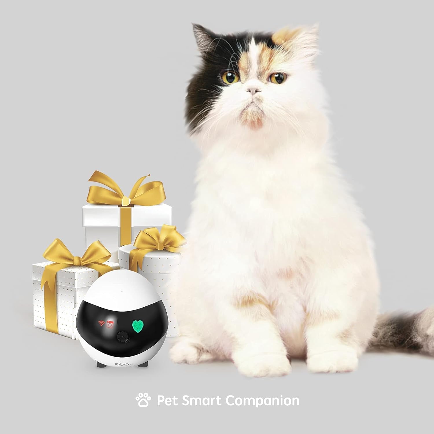 SE Home Robot Camera: 1080P Mobile Familybot Pet Companion | Whole-Home Mobility, Two-Way Talk, Night Vision, Local Storage, Auto-Recharge, Long Distance Gift for Family/Pet